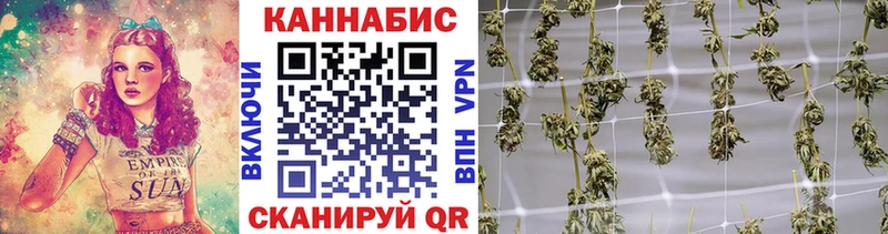 ссылка на мегу вход  Торопец  Марихуана Bruce Banner  наркошоп 